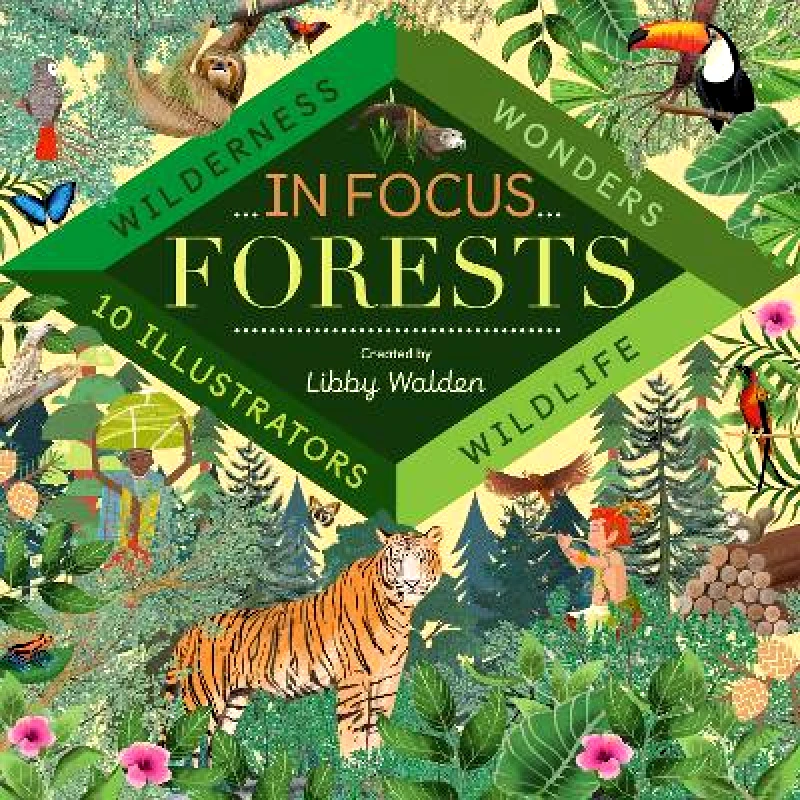 Little Tiger Kids In Focus: Forests Libby Walden Little Tiger Kids