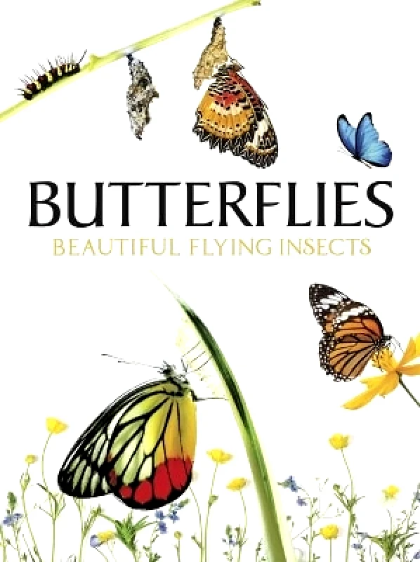 Amber Books Butterflies: Beautiful Flying Insects Julianna Photopoulos Amber Books