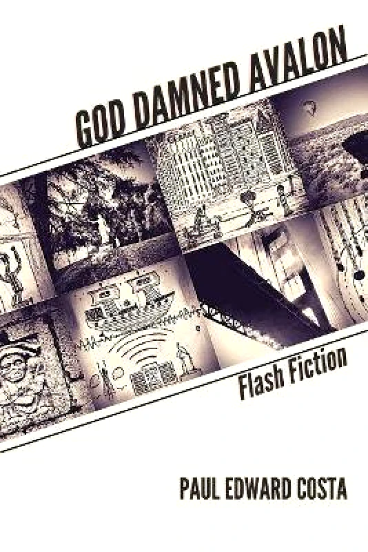 Mosaic Press God Damned Avalon: Flash Fiction Paul Edward Costa Mosaic Press