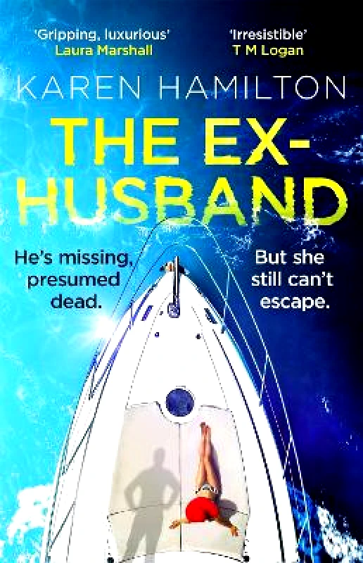 Wildfire The Ex-Husband: The perfect thriller to escape with this year Karen Hamilton Wildfire 1209