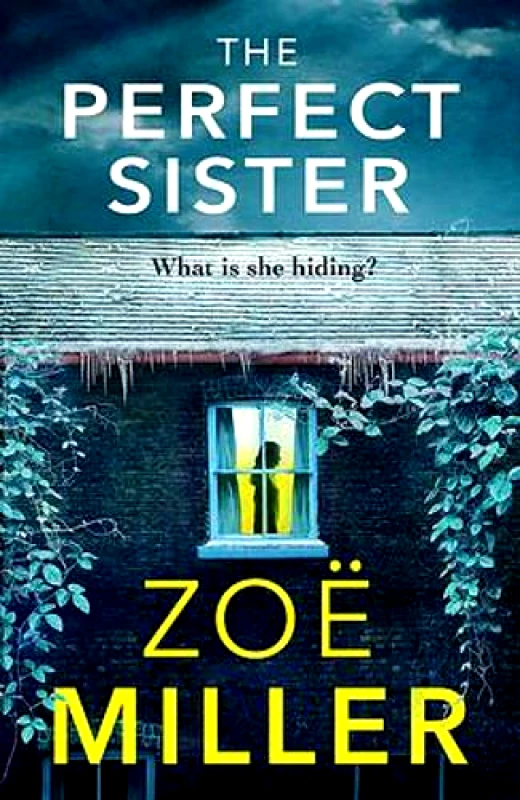 Hachette Books Ireland The Perfect Sister: A compelling page-turner that you won't be able to put down Zoe Miller Hachette Books Ireland 2021 Paperback / softback