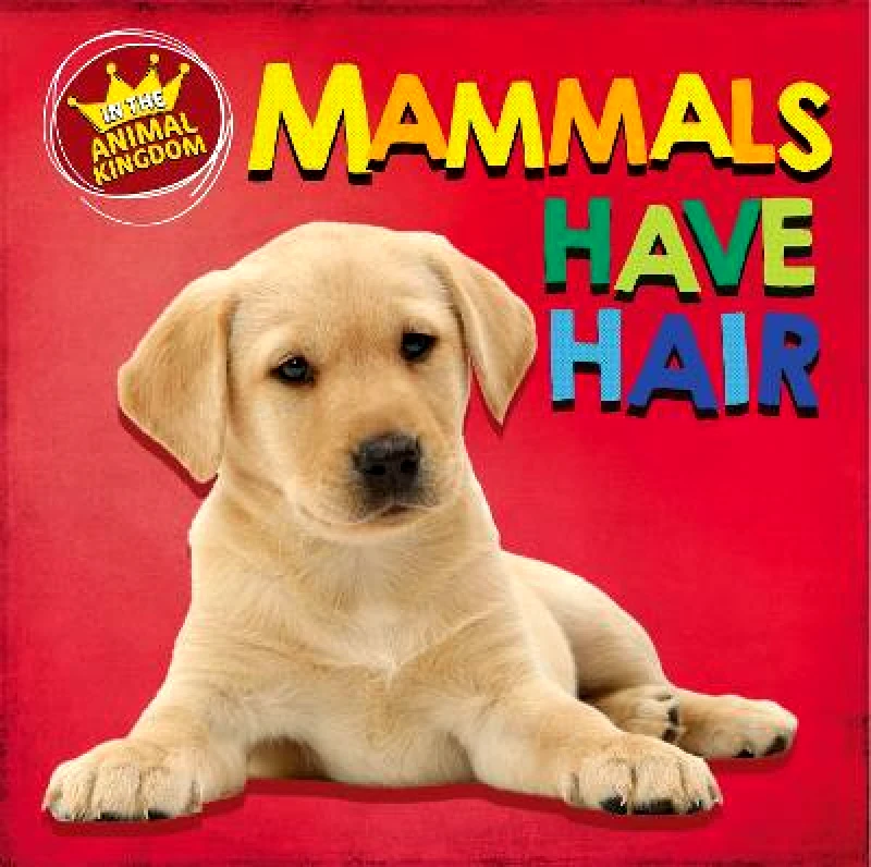 Wayland In the Animal Kingdom: Mammals Have Hair Sarah Ridley Wayland Paperback / softback 2022