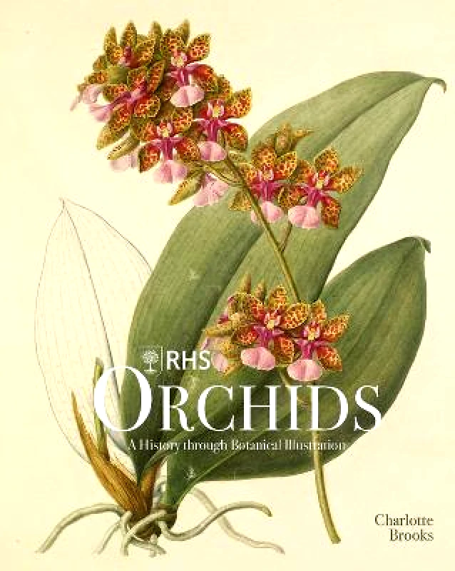 ACC Art Books RHS Orchids Charlotte Brooks ACC Art Books Hardback