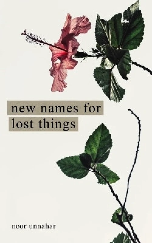 Andrews McMeel Publishing New Names for Lost Things Noor Unnahar Andrews McMeel Publishing 1223