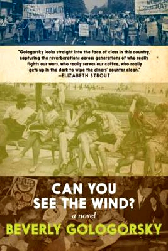 Seven Stories Press,U.S. Can You See The Wind? Beverly Gologorsky Seven Stories Press,U.S. Paperback / softback