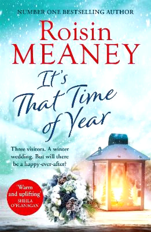 Hachette Books Ireland It's That Time of Year: A heartwarming festive read from the bestselling author of Life Before Us Roisin Meaney Hachette Books Ireland 0125