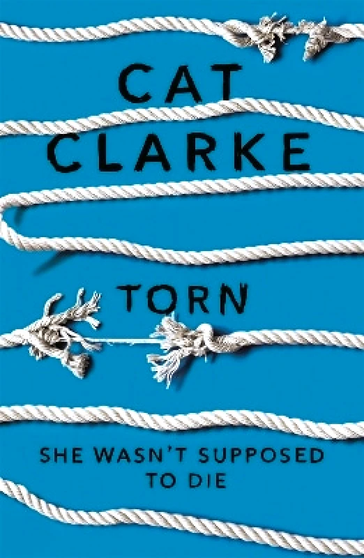 Quercus Children's Books Torn Cat Clarke Quercus Children's Books