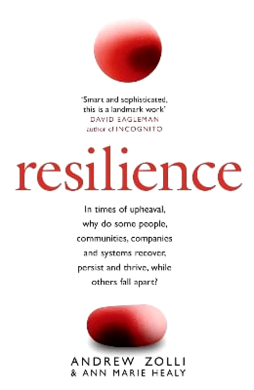 Business Plus Resilience: Why Things Bounce Back Ann Marie Healy Business Plus 0409