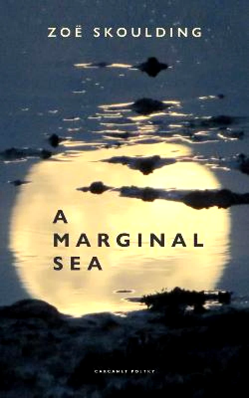 Carcanet Press Ltd A Marginal Sea Zoe Skoulding Carcanet Press Ltd Paperback / softback