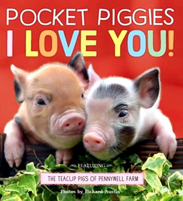 Workman Publishing Pocket Piggies: I Love You! Richard Austin Workman Publishing Board book