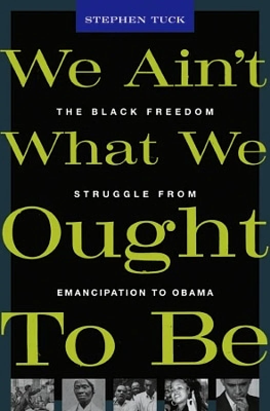 The Belknap Press We Ain’t What We Ought To Be: The Black Freedom Struggle from Emancipation to Obama Stephen Tuck The Belknap Press 1017