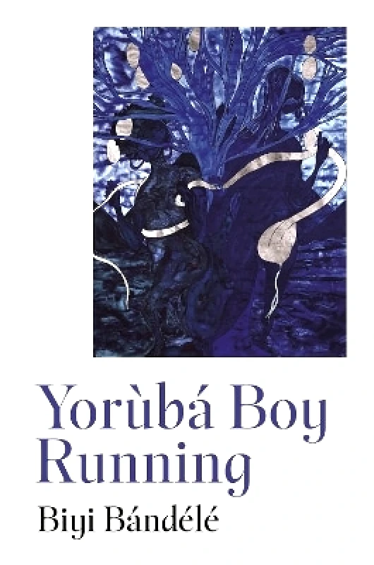 Hamish Hamilton Ltd Yorùbá Boy Running Biyi Bandele Hamish Hamilton Ltd