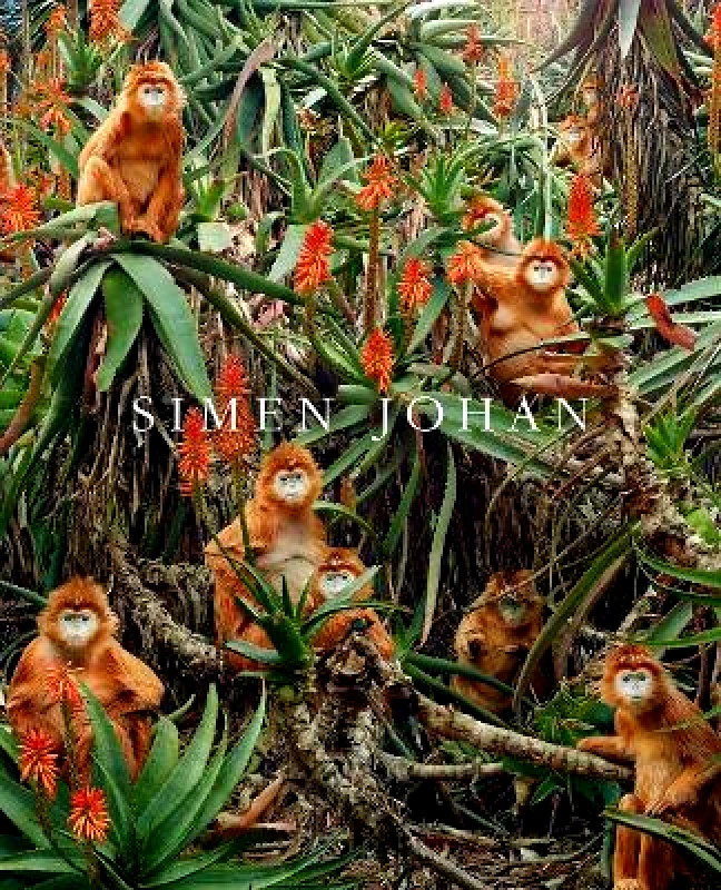 powerHouse Books,U.S. Simen Johan powerHouse Books,U.S. 0816
