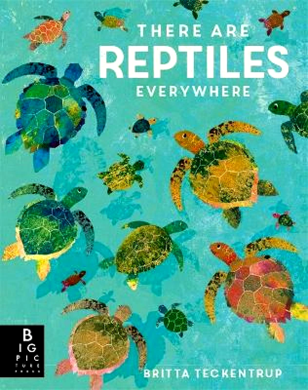 Big Picture Press There are Reptiles Everywhere Camilla de la Bedoyere Big Picture Press