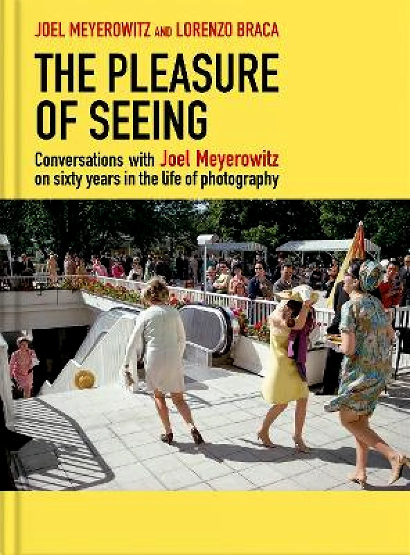 Damiani The Pleasure of Seeing: Conversations on Joel Meyerowitz's sixty years in the life of photography Damiani Hardback 2023