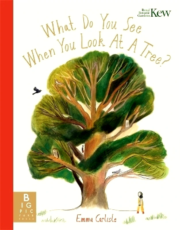 Big Picture Press What Do You See When You Look At a Tree? Emma Carlisle Big Picture Press