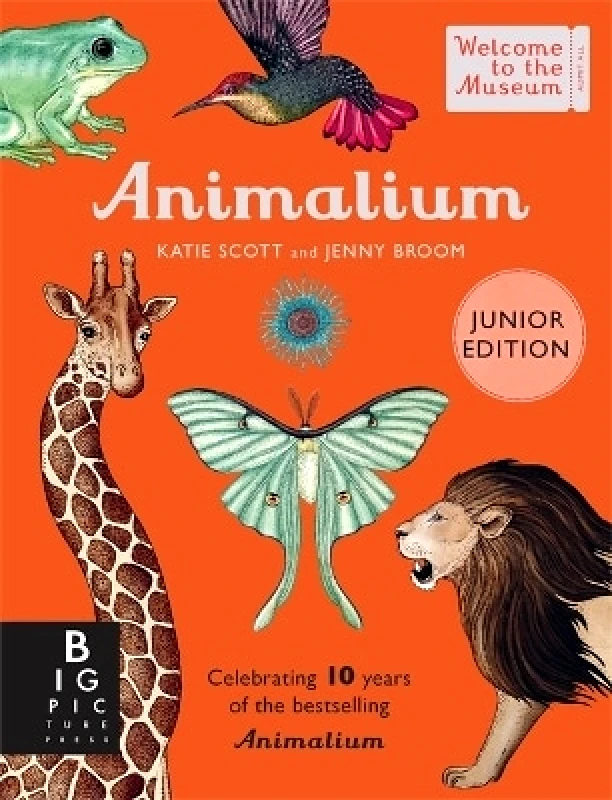 Big Picture Press Animalium (Junior Edition) Jenny Broom Big Picture Press
