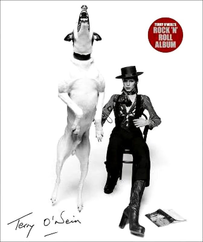 ACC Art Books Terry O'Neill's Rock 'n' Roll Album ACC Art Books Hardback