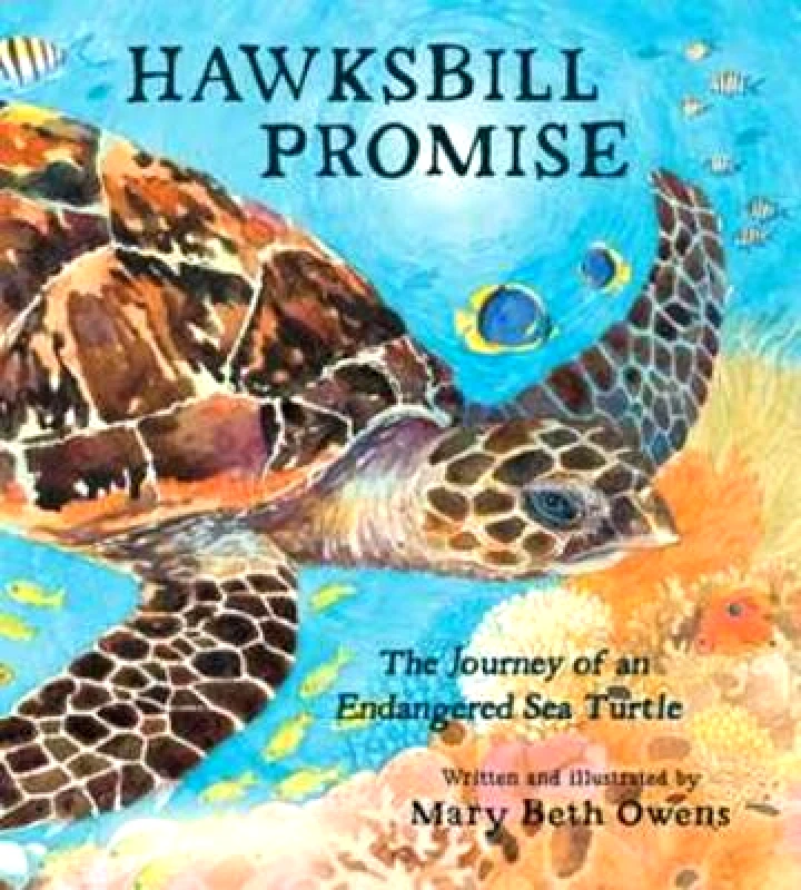 Tilbury House,U.S. Hawksbill Promise: The Journey of an Endangered Sea Turtle Mary Beth Owens Tilbury House,U.S. 0730