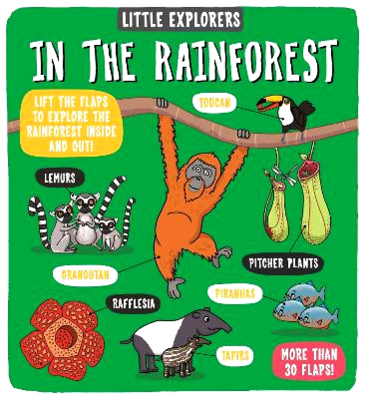 Templar Publishing Little Explorers: In the Rainforest Dynamo Ltd. Templar Publishing