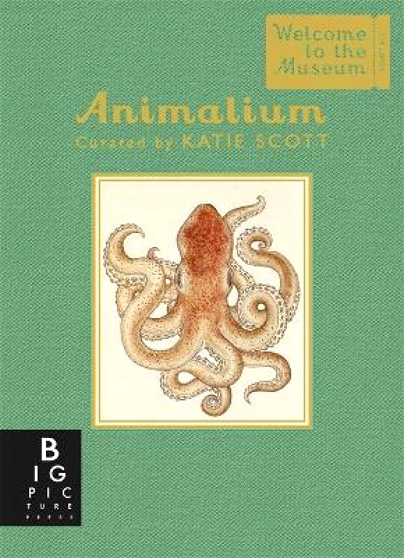 Big Picture Press Animalium (Mini Gift Edition) Jenny Broom Big Picture Press
