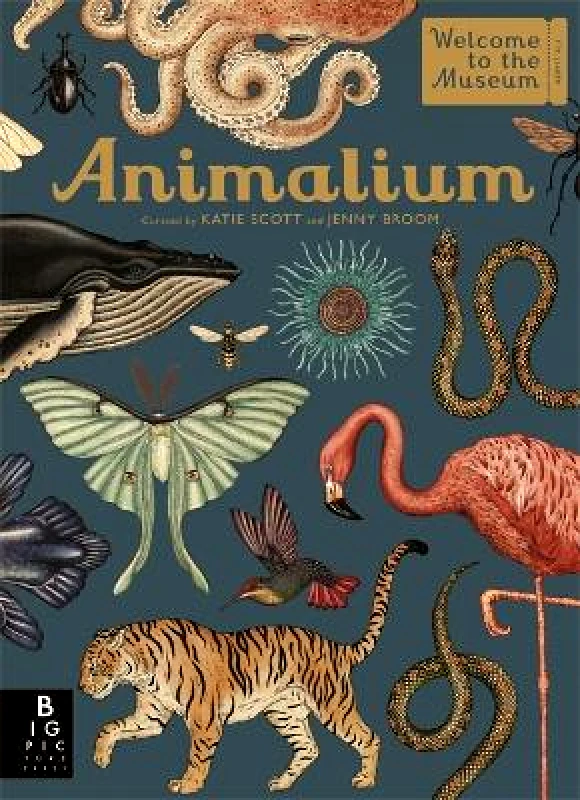 Templar Publishing Animalium Jenny Broom Templar Publishing