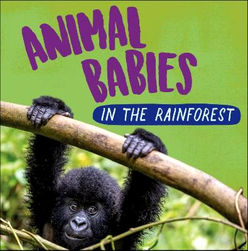 Wayland Animal Babies: In the Rainforest Sarah Ridley Wayland Hardback 2022