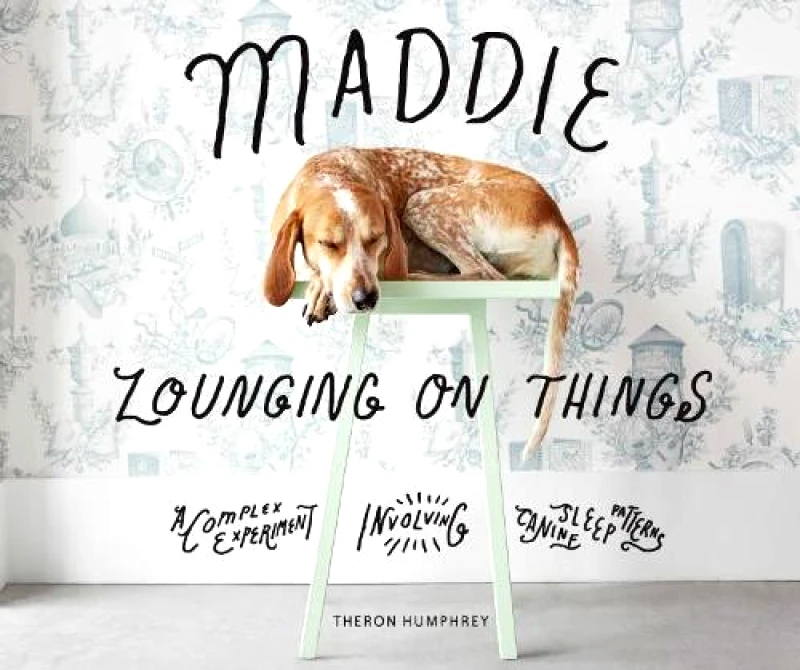 Abrams Image Maddie Lounging On Things: A Complex Experiment Involving Canine Sleep Patterns Theron Humphrey Abrams Image 2017 Hardback