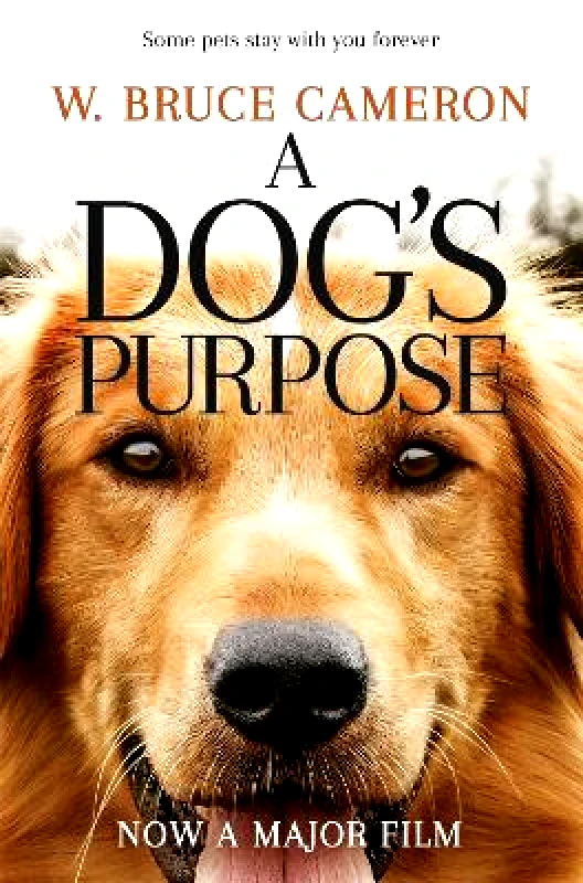Pan Books A Dog's Purpose W. Bruce Cameron Pan Books