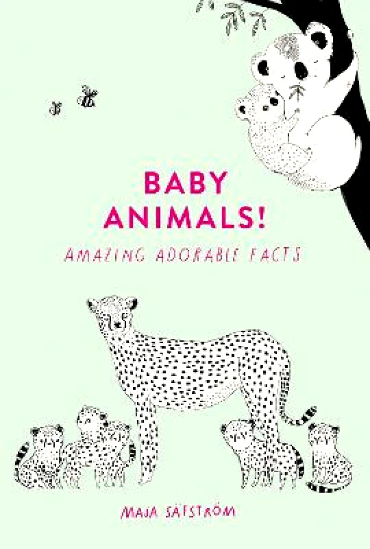 HarperCollins Publishers Ltd Baby Animals!: Amazing Adorable Facts Maja Safstrom HarperCollins Publishers Ltd Hardback