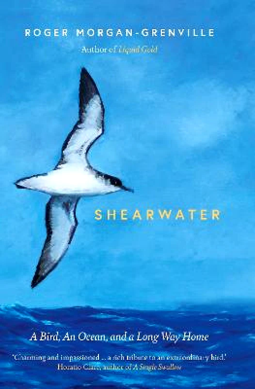 Icon Books Shearwater: A Bird, an Ocean, and a Long Way Home Roger Morgan-Grenville Icon Books Hardback 2021