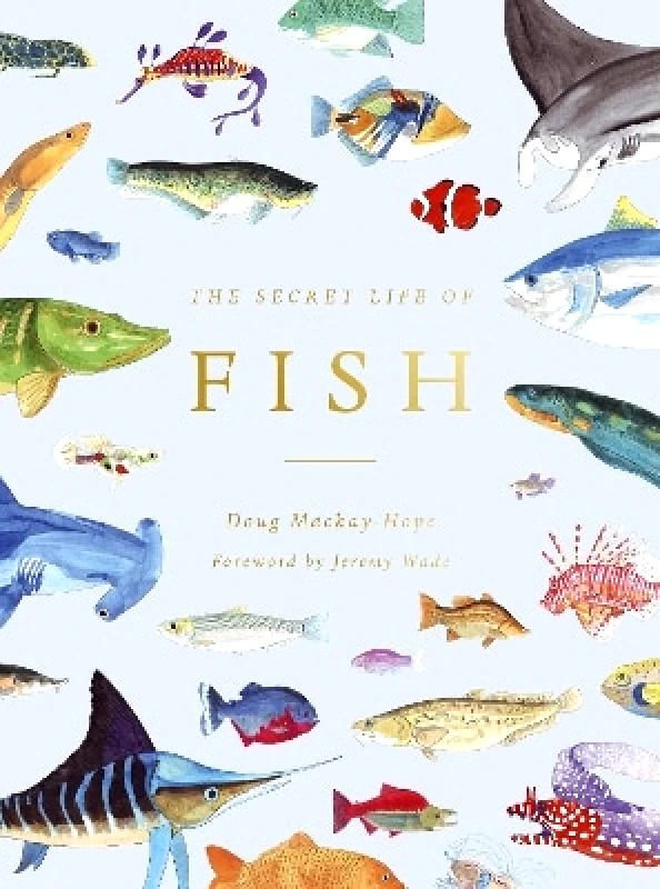 Ivy Press The Secret Life of Fish: The Astonishing Truth about our Aquatic Cousins Doug Mackay-Hope Ivy Press 0928