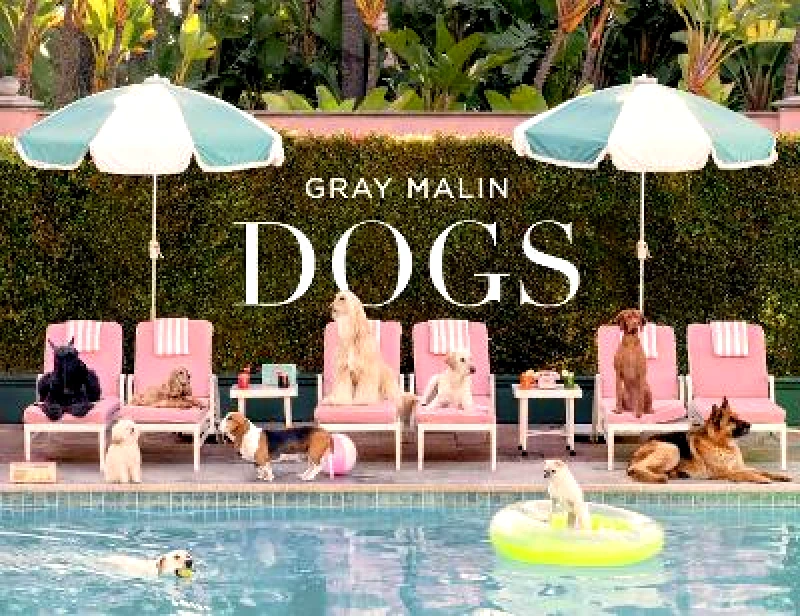 Gray Malin: Dogs: Photographs Abrams 1121 φωτογραφία