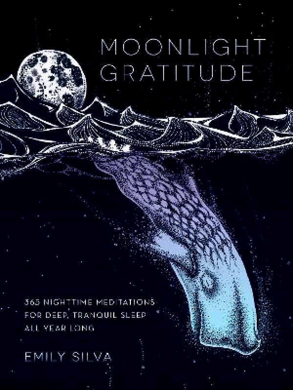 Rock Point Moonlight Gratitude: 365 Nighttime Meditations for Deep, Tranquil Sleep All Year Long: Volume 1 Emily Silva Rock Point 0316