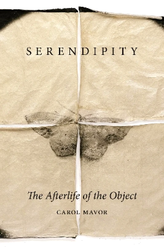 Reaktion Books Serendipity: The Afterlife of the Object Carol Mavor Reaktion Books