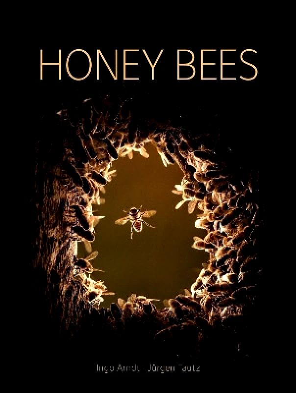 The Natural History Museum Honey Bees Jurgen Tautz The Natural History Museum