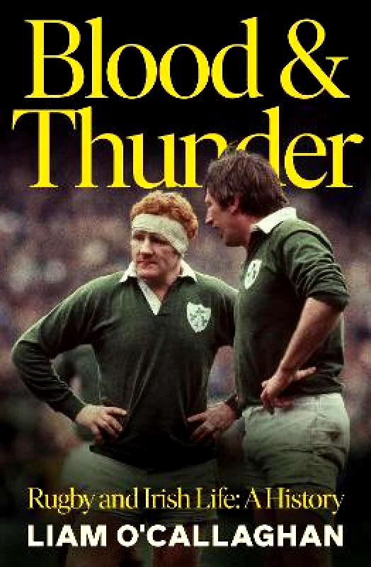 Sandycove Blood And Thunder: Rugby and Irish Life: A History Liam O’Callaghan Sandycove