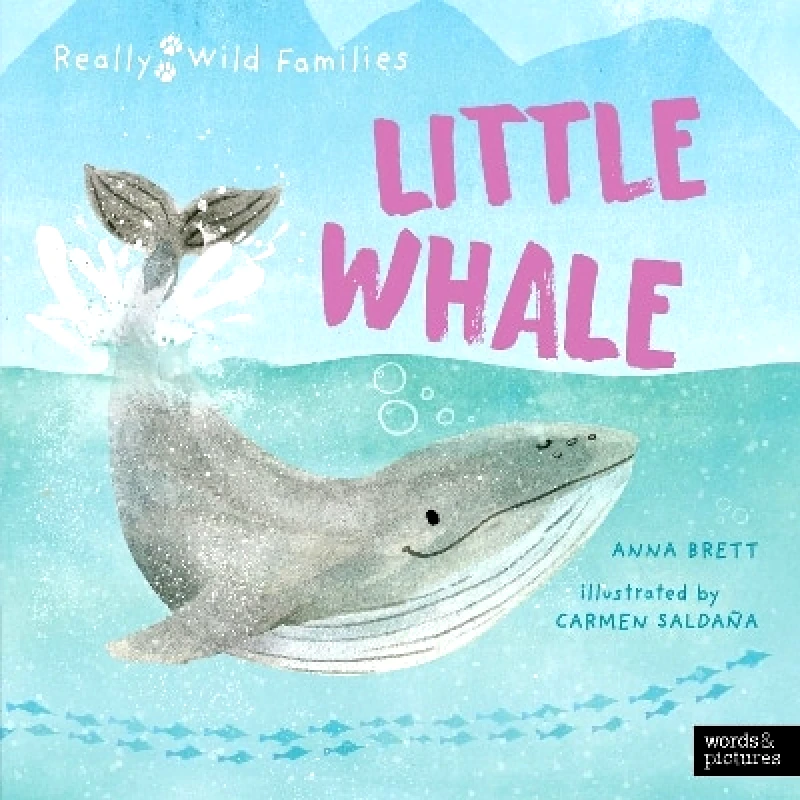 words & pictures Little Whale: A Day in the Life of a Whale Calf Anna Brett words & pictures 0803
