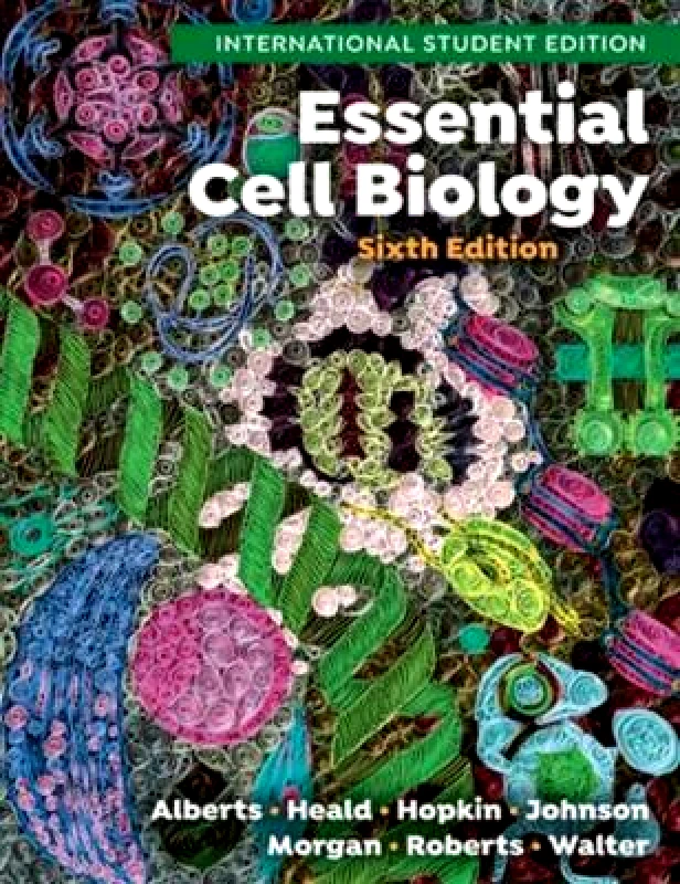 WW Norton & Co Essential Cell Biology Peter Walter WW Norton & Co 0120