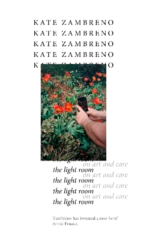 Corsair The Light Room Kate Zambreno Corsair 1029