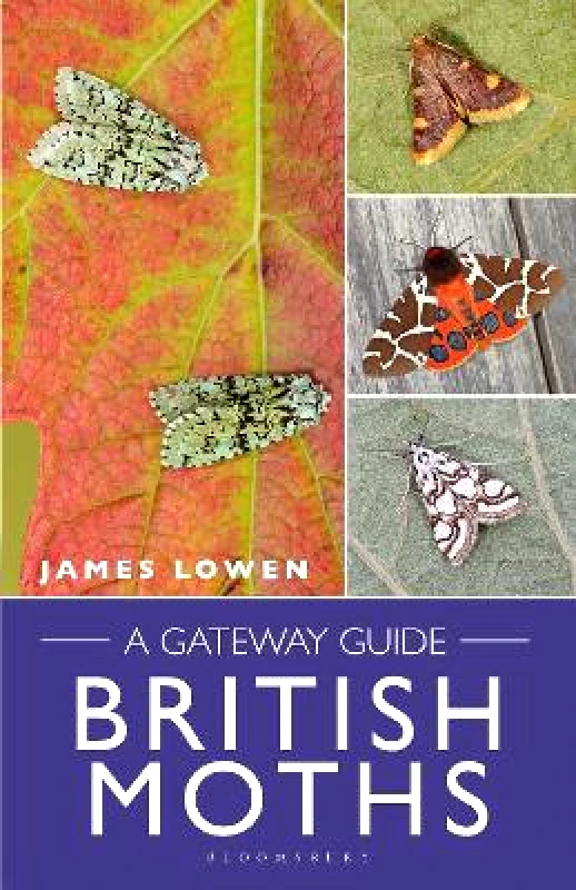 Bloomsbury Wildlife British Moths: A Gateway Guide James Lowen Bloomsbury Wildlife 1102