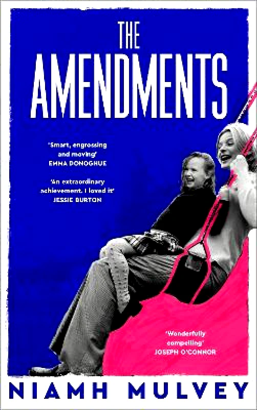 Picador The Amendments: the instant Irish bestseller about one family through the generations Niamh Mulvey Picador 1008