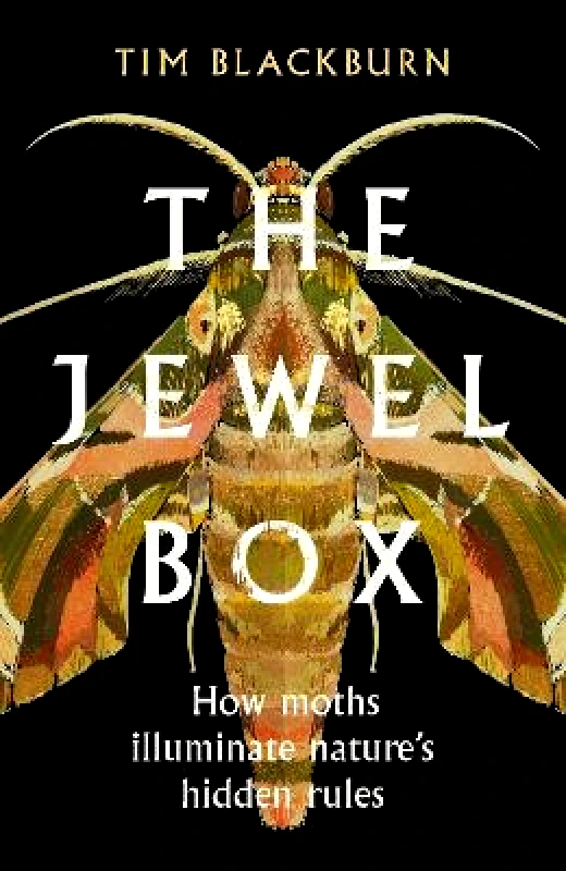 Weidenfeld & Nicolson The Jewel Box: How Moths Illuminate Nature’s Hidden Rules Tim Blackburn Weidenfeld & Nicolson 0829