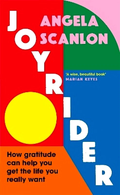 Vermilion Joyrider: How gratitude can help you get the life you really want Angela Scanlon Vermilion