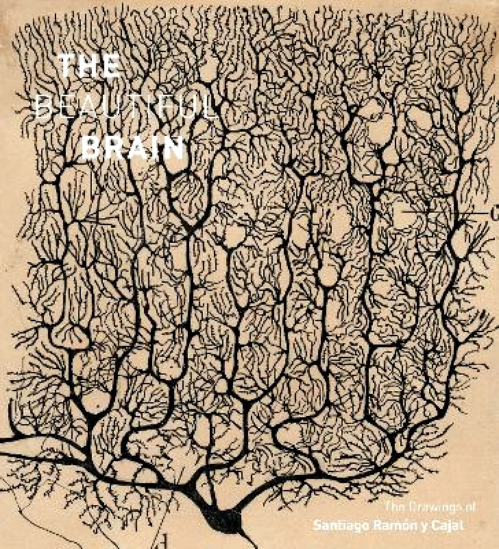 Amulet Books The Beautiful Brain: The Drawings of Santiago Ramon y Cajal Alfonso Araque Amulet Books 1201