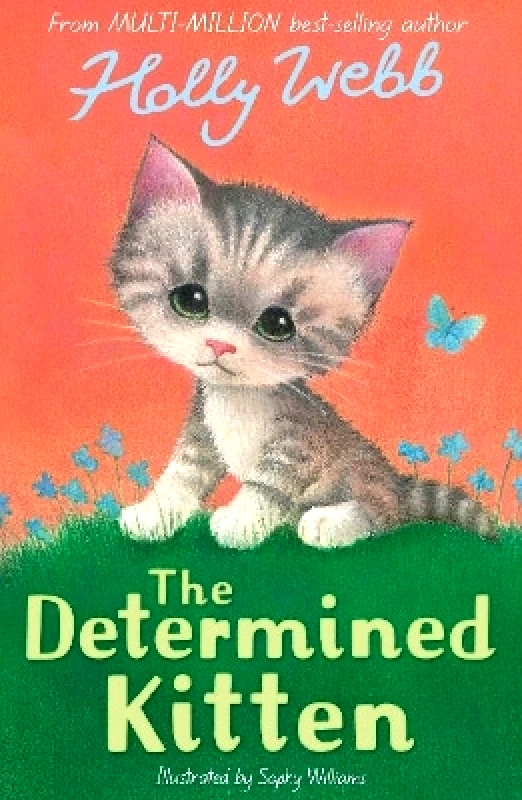 Stripes Publishing The Determined Kitten Holly Webb Stripes Publishing
