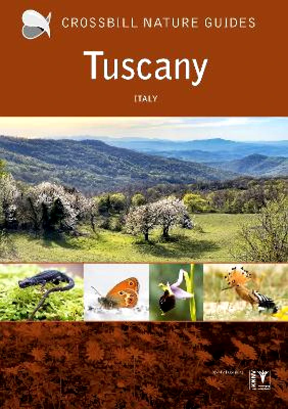 Tuscany: Italy Graham Chisholm Crossbill Guides Foundation φωτογραφία