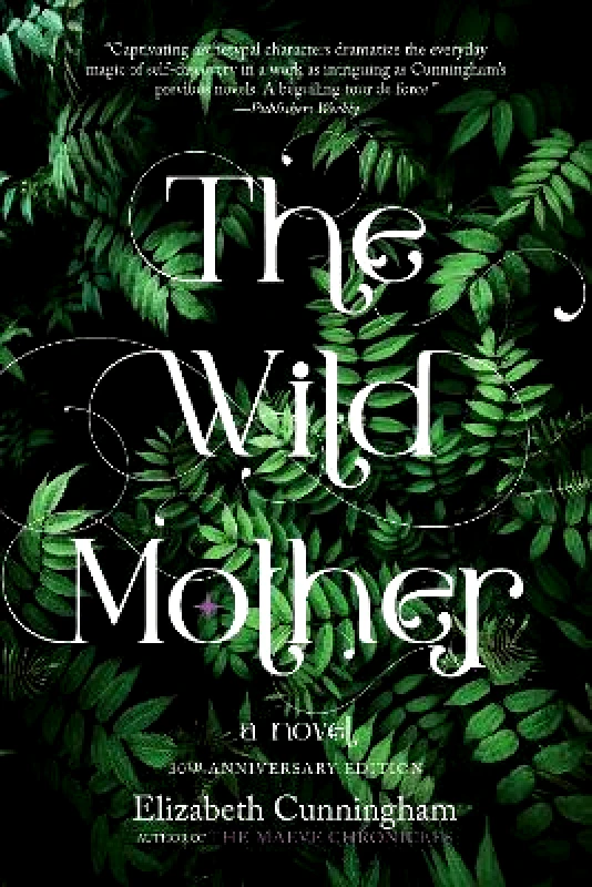 Monkfish Book Publishing Company The Wild Mother: A Novel Elizabeth Cunningham Monkfish Book Publishing Company 0411