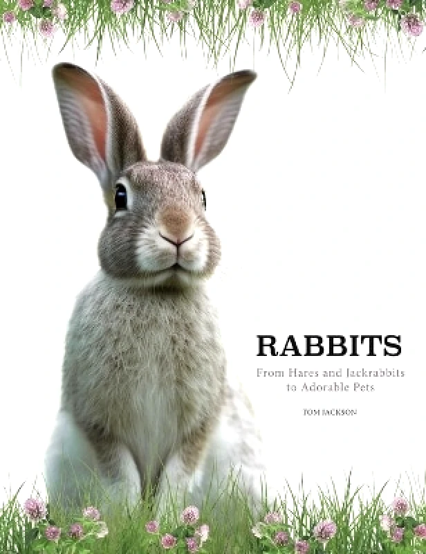 Amber Books Rabbits Tom Jackson Amber Books