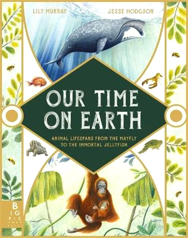 Big Picture Press Our Time on Earth: From the Mayfly to the Immortal Jellyfish Lily Murray Big Picture Press